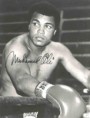 /album/fotogaleria-inicio/muhammad-ali-photo-9-1-jpg/
